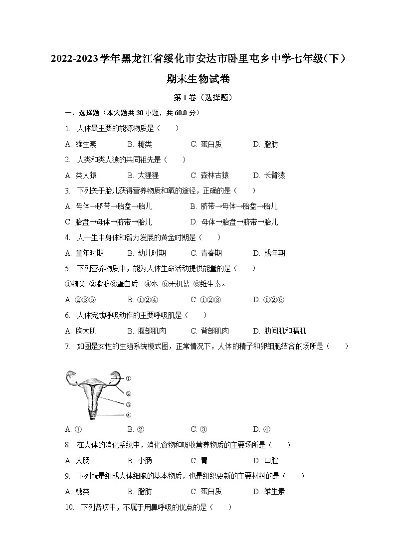 2022-2023学年黑龙江省绥化市安达市卧里屯乡中学七年级（下）期末生物试卷（含解析）第1页