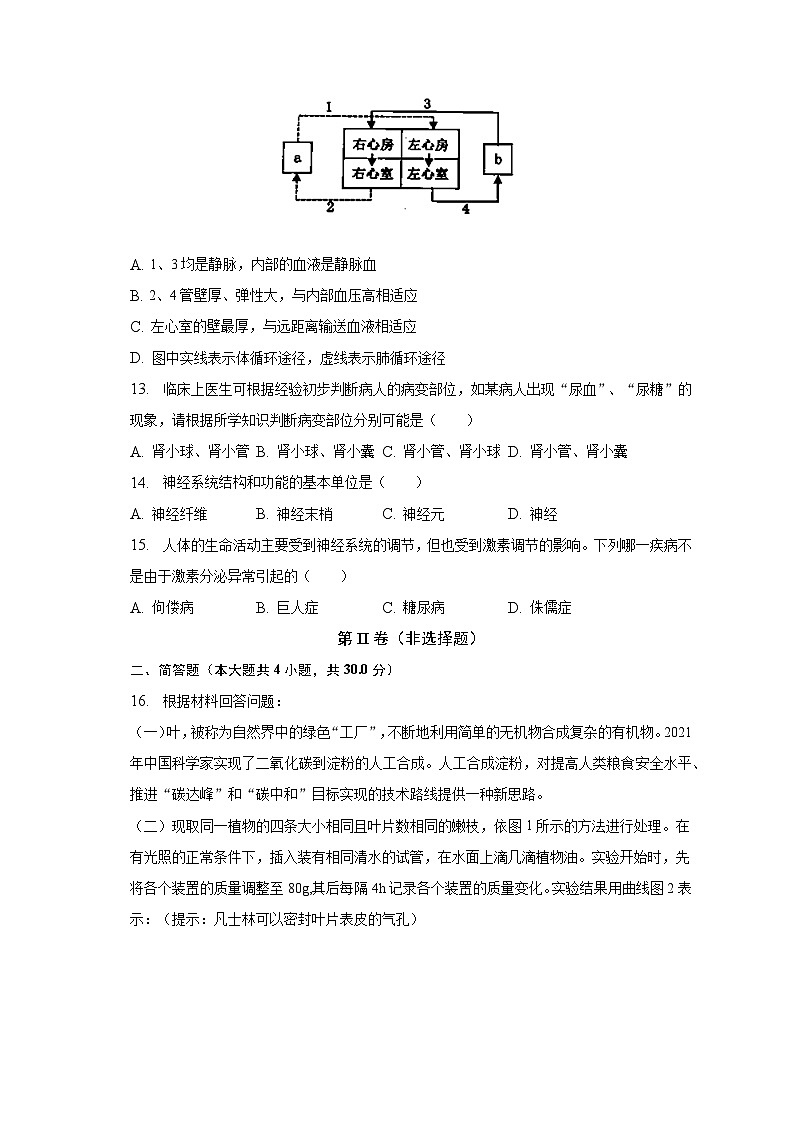 2022-2023学年湖北省襄阳市枣阳市七年级（下）期末生物试卷（含解析）03