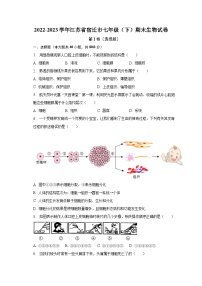 2022-2023学年江苏省宿迁市七年级（下）期末生物试卷（含解析）