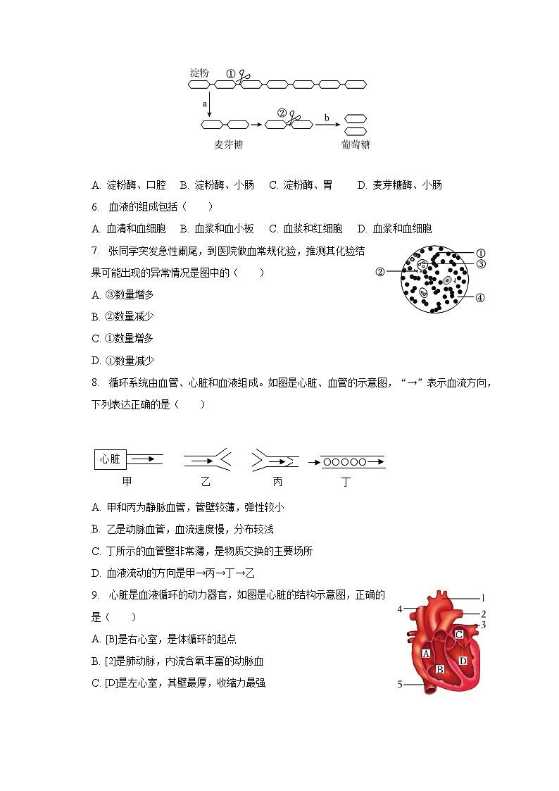 2022-2023学年河南省平顶山市七年级（下）期末生物试卷（含解析）02
