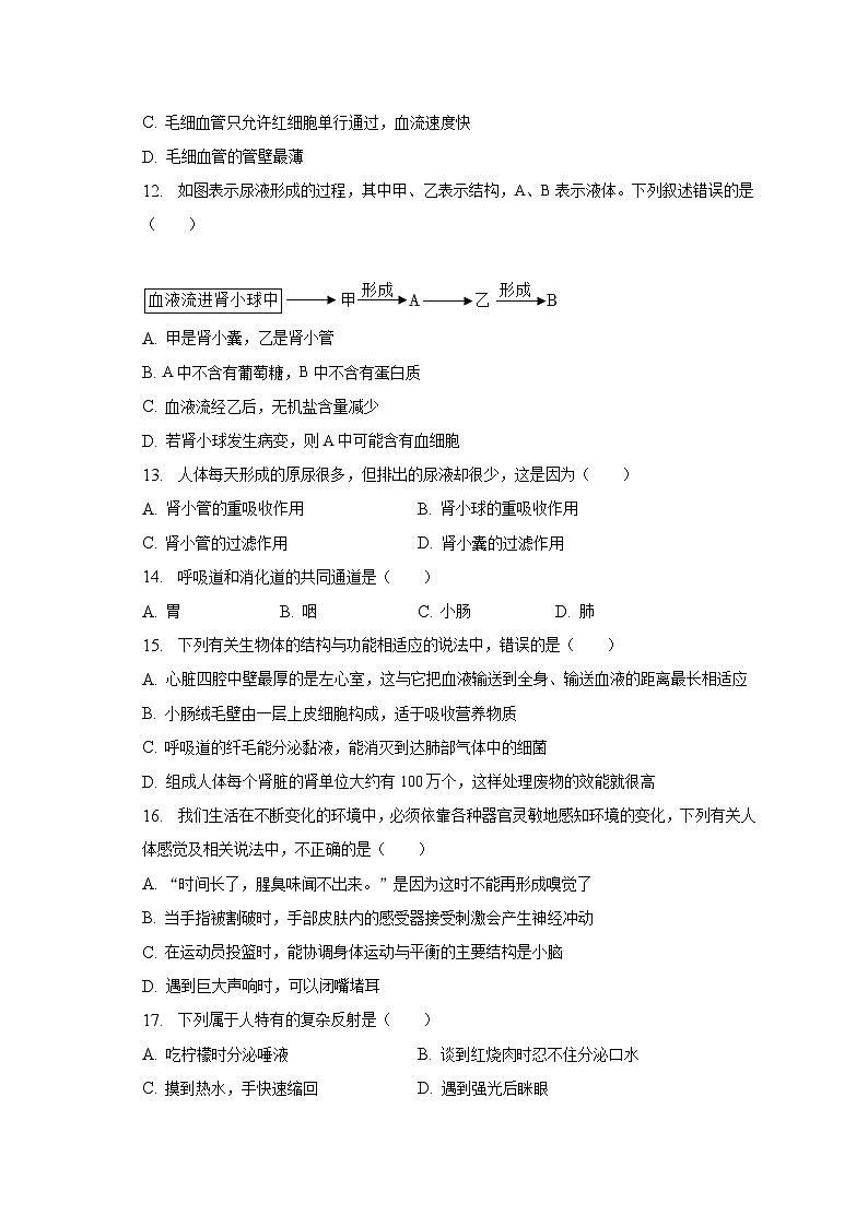 2022-2023学年河南省商丘市永城市七年级（下）期末生物试卷（含解析）第3页