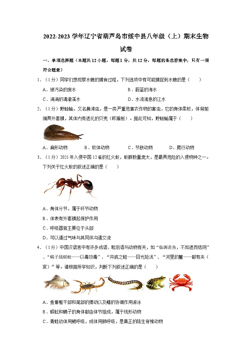 2022-2023学年辽宁省葫芦岛市绥中县八年级上学期期末生物试卷（文字版含答案解析）第1页