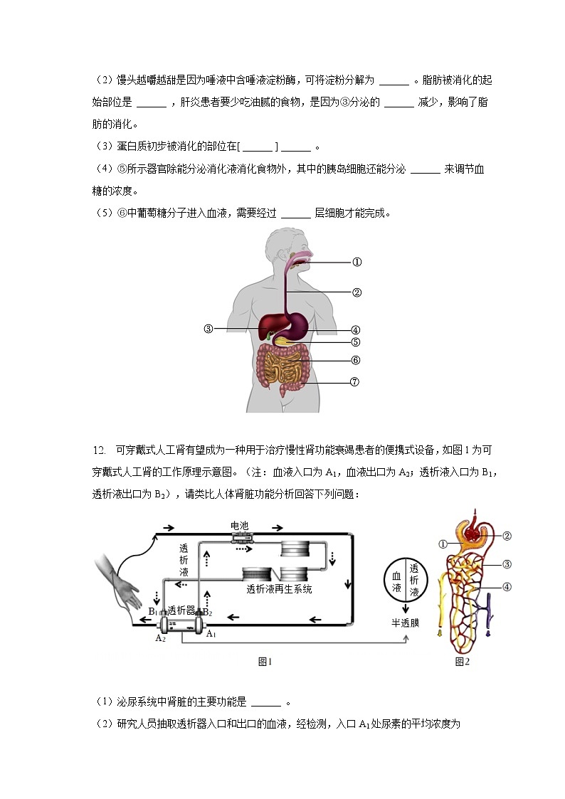 2022-2023学年湖北省孝感市大悟县七年级（下）期末生物试卷（含解析）第3页