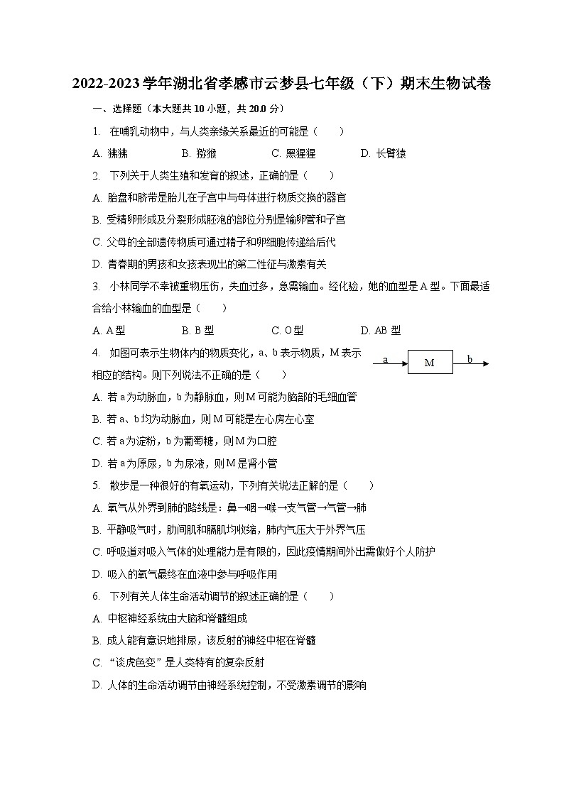 2022-2023学年湖北省孝感市云梦县七年级（下）期末生物试卷（含解析）第1页