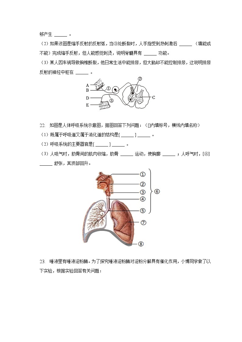 2022-2023学年湖北省黄石市大冶市七年级（下）期末生物试卷（含解析）第3页