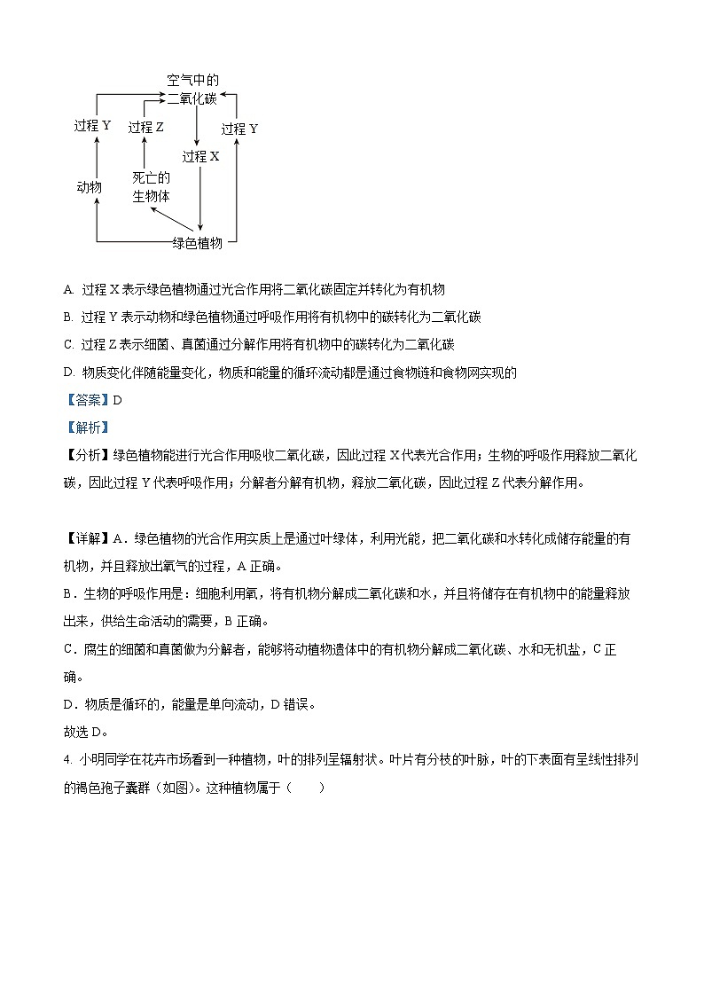2023年山东省泰安市中考生物真题03