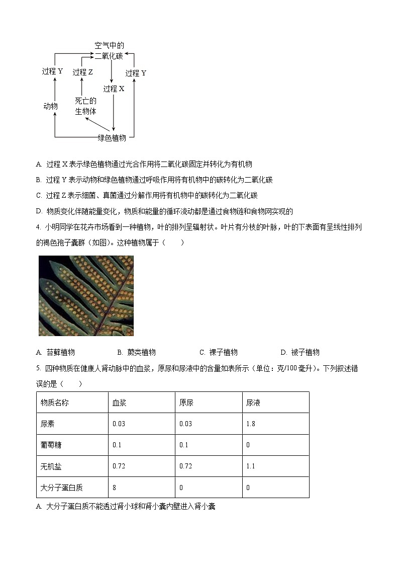 2023年山东省泰安市中考生物真题02