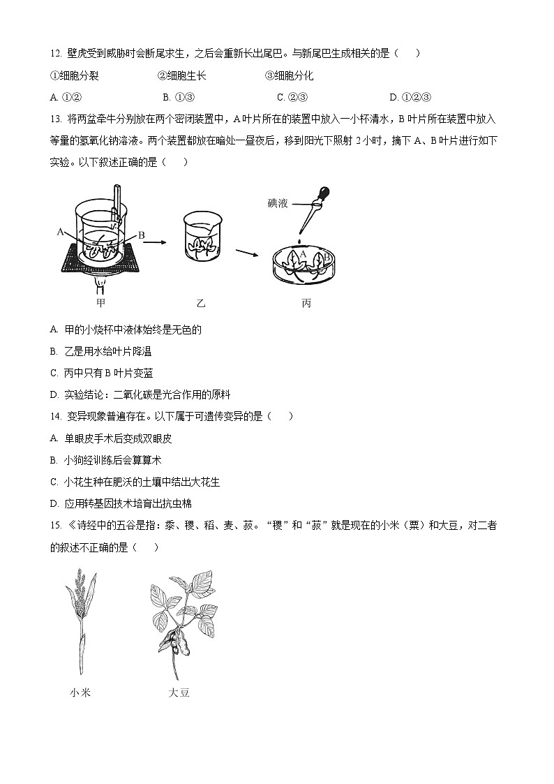 2023年山东省烟台市中考生物真题03