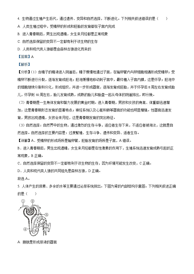 2023年湖北省黄冈市_孝感市_咸宁市生物中考真题试题03