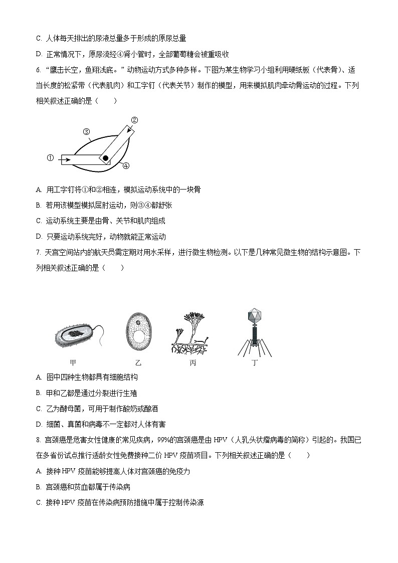 2023年湖北省黄冈市_孝感市_咸宁市生物中考真题试题02