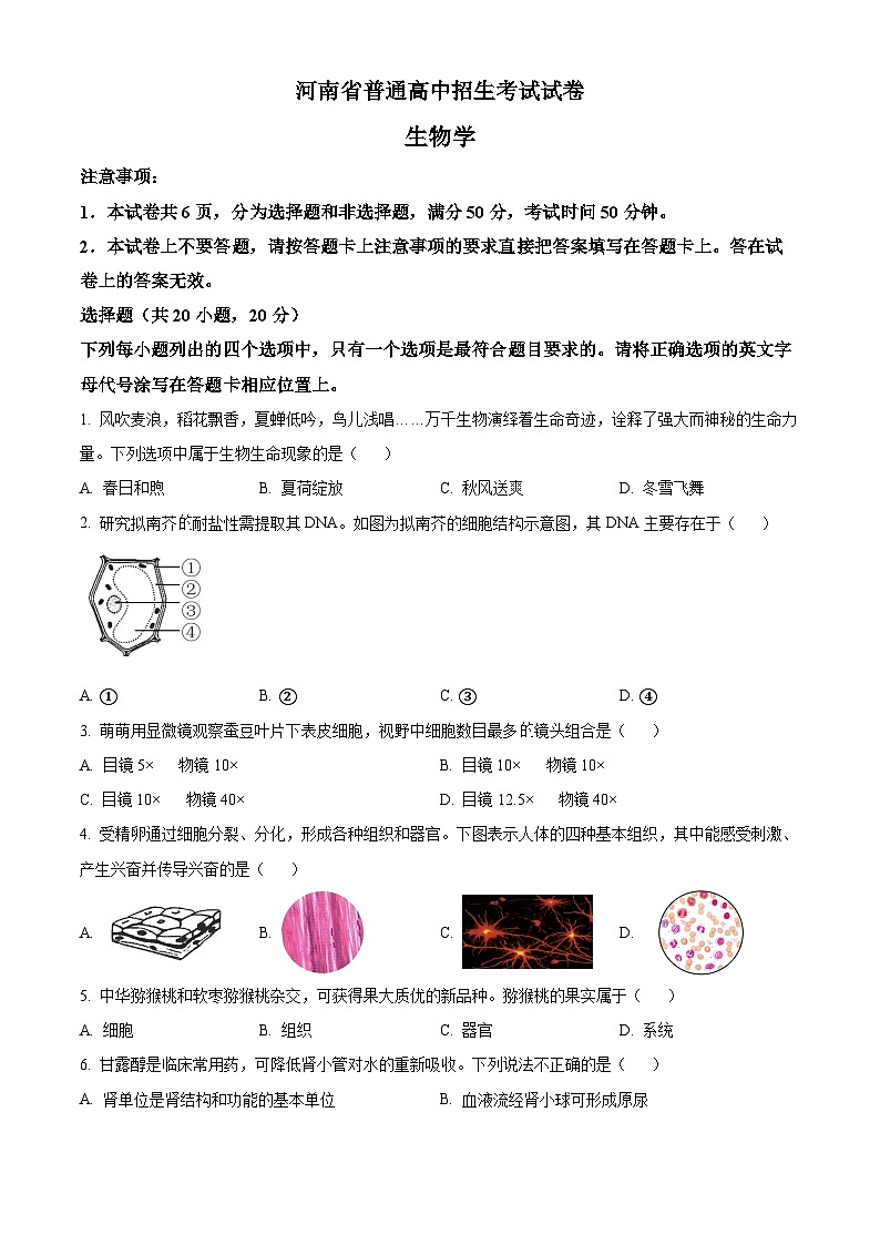 2023年河南省中考生物真题01