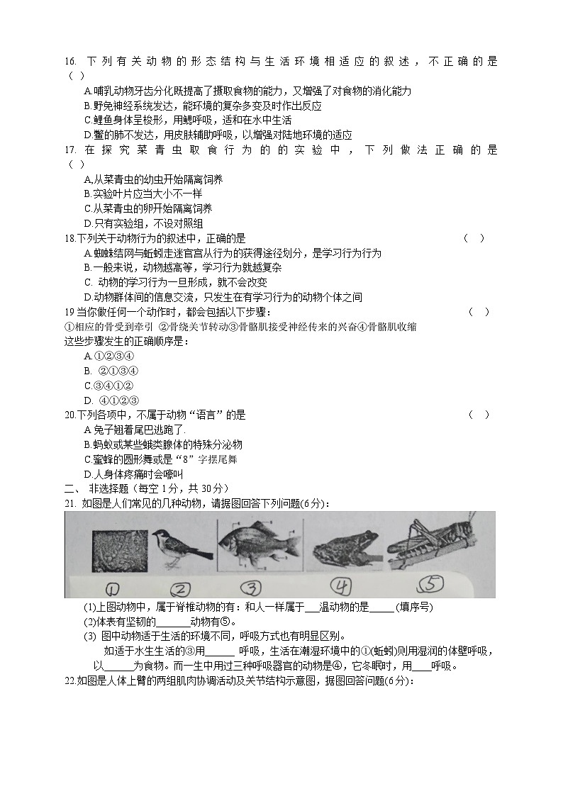 人教版生物八年级上册--期中质量评估检测试卷（一）（含答案）03