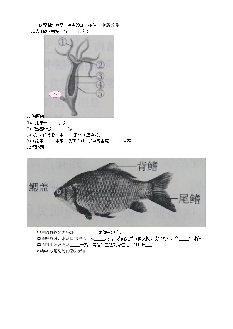 人教版生物八年级上册--期中质量评估检测试卷（二）（含答案）03