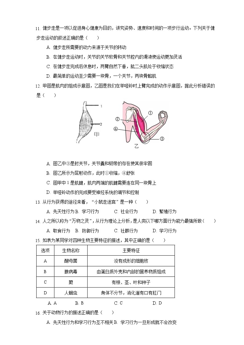 【阶段测试】人教版生物八年级上册--期中质量评估检测题（含解析）03