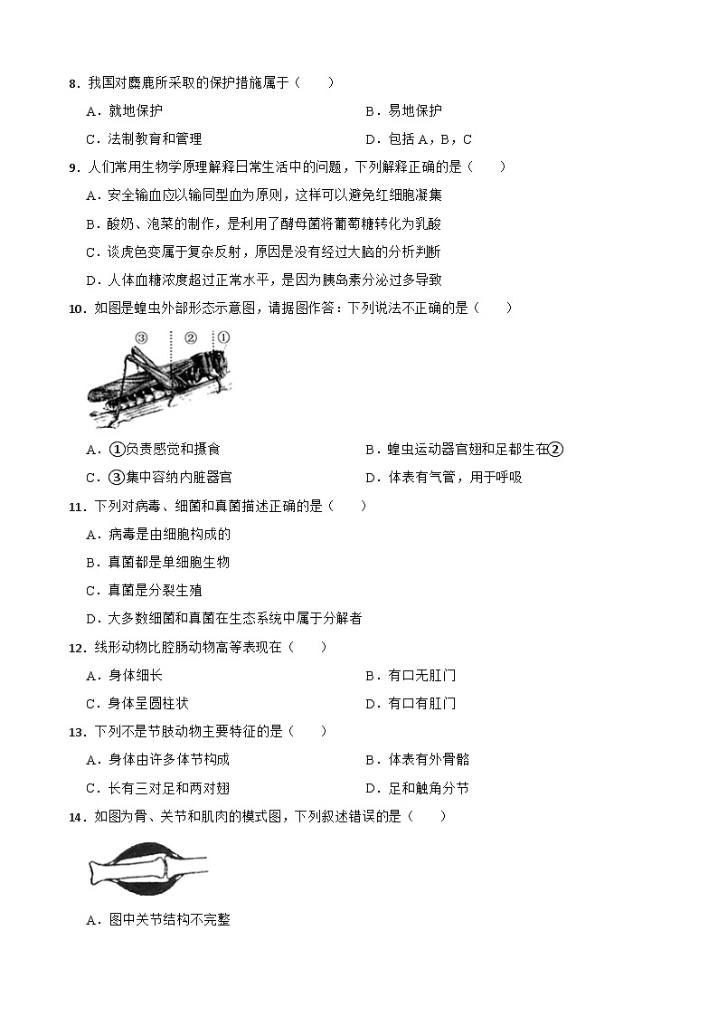 【阶段测试】人教版生物八年级上册--期末测试题二（含解析）第2页