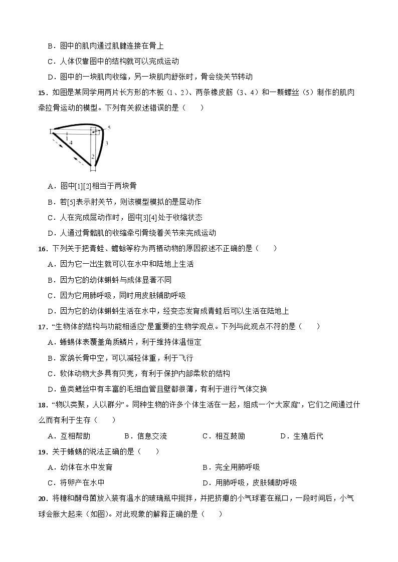 【阶段测试】人教版生物八年级上册--期末测试题二（含解析）第3页