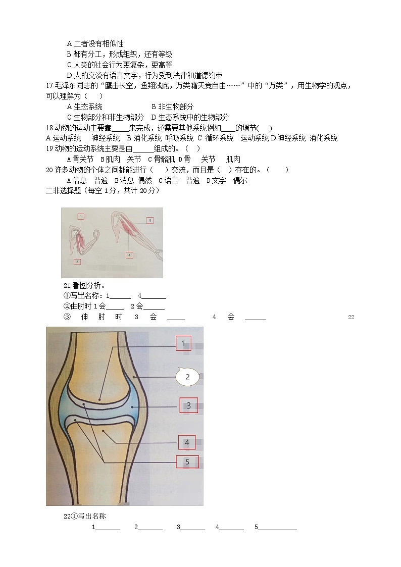人教版生物八年级上册--第2章~第3章 综合测试题（含答案）02