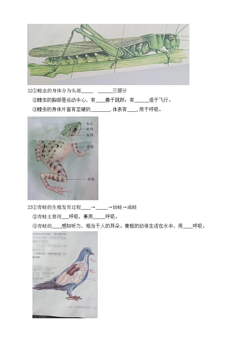 人教版生物八年级上册--第5单元第1章 综合测试题（含答案）03