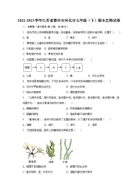 江苏省泰州市兴化市2022-2023学年七年级下学期期末生物试卷（含答案）