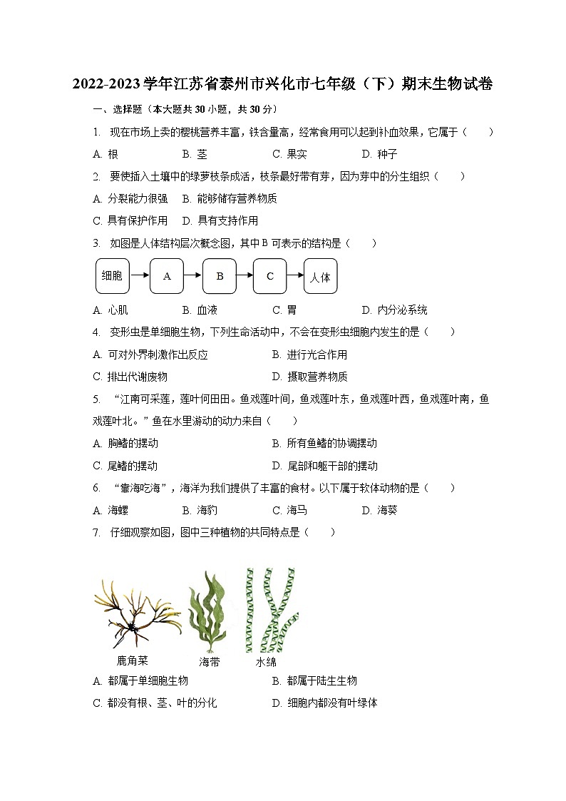江苏省泰州市兴化市2022-2023学年七年级下学期期末生物试卷（含答案）第1页