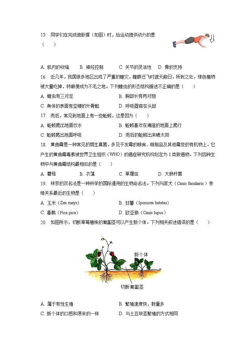 江苏省泰州市兴化市2022-2023学年七年级下学期期末生物试卷（含答案）第3页