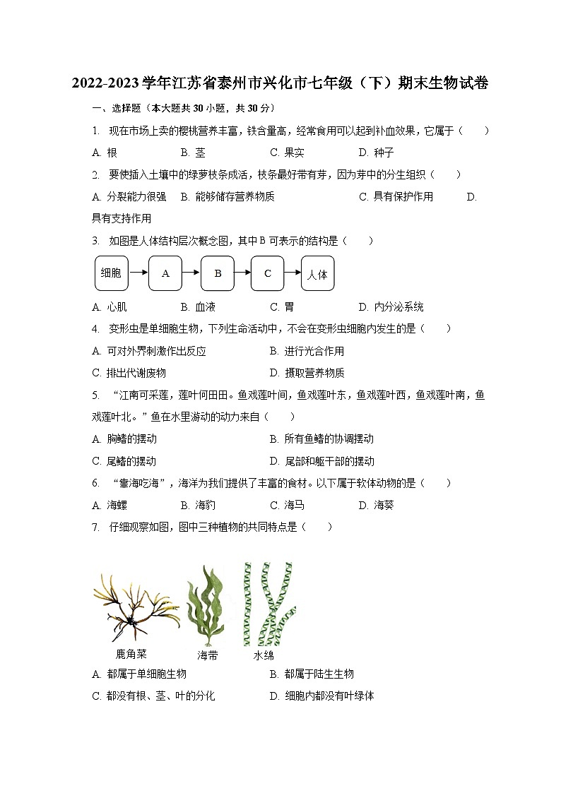 2022-2023学年江苏省泰州市兴化市七年级（下）期末生物试卷（含解析）第1页