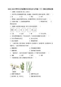 2022-2023学年江苏省泰州市兴化市七年级（下）期末生物试卷（含解析）
