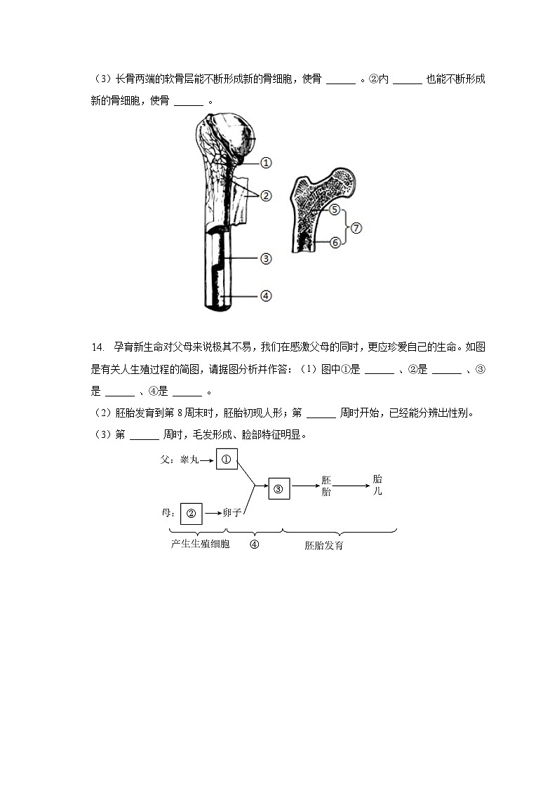 2022-2023学年辽宁省鞍山市铁西区七年级（下）期中生物试卷（含解析）第3页