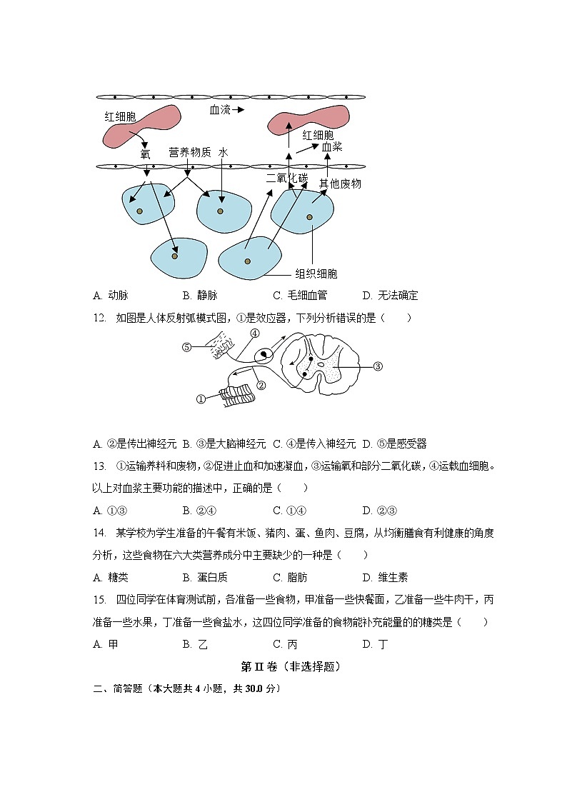2022-2023学年广西河池市凤山县七年级（下）期末生物试卷（含解析）第3页