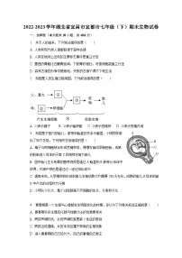 2022-2023学年湖北省宜昌市宜都市七年级（下）期末生物试卷（含解析）