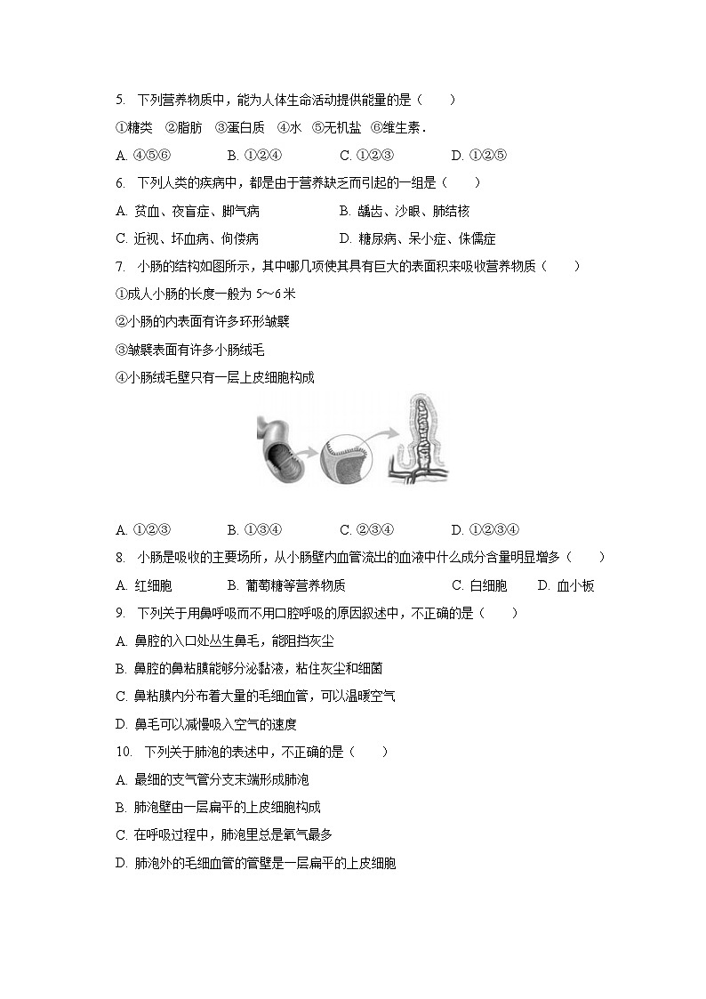 2022-2023学年湖北省宜昌市宜都市七年级（下）期末生物试卷（含解析）第2页