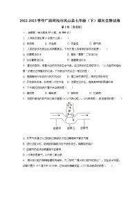 广西河池市凤山县2022-2023学年七年级下学期期末生物试卷（含答案）