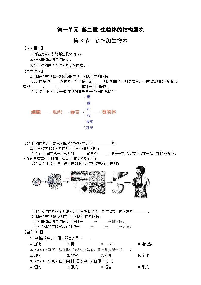 冀少版 初中生物 七年级上册 1.2.3多细胞生物体（学案）第1页