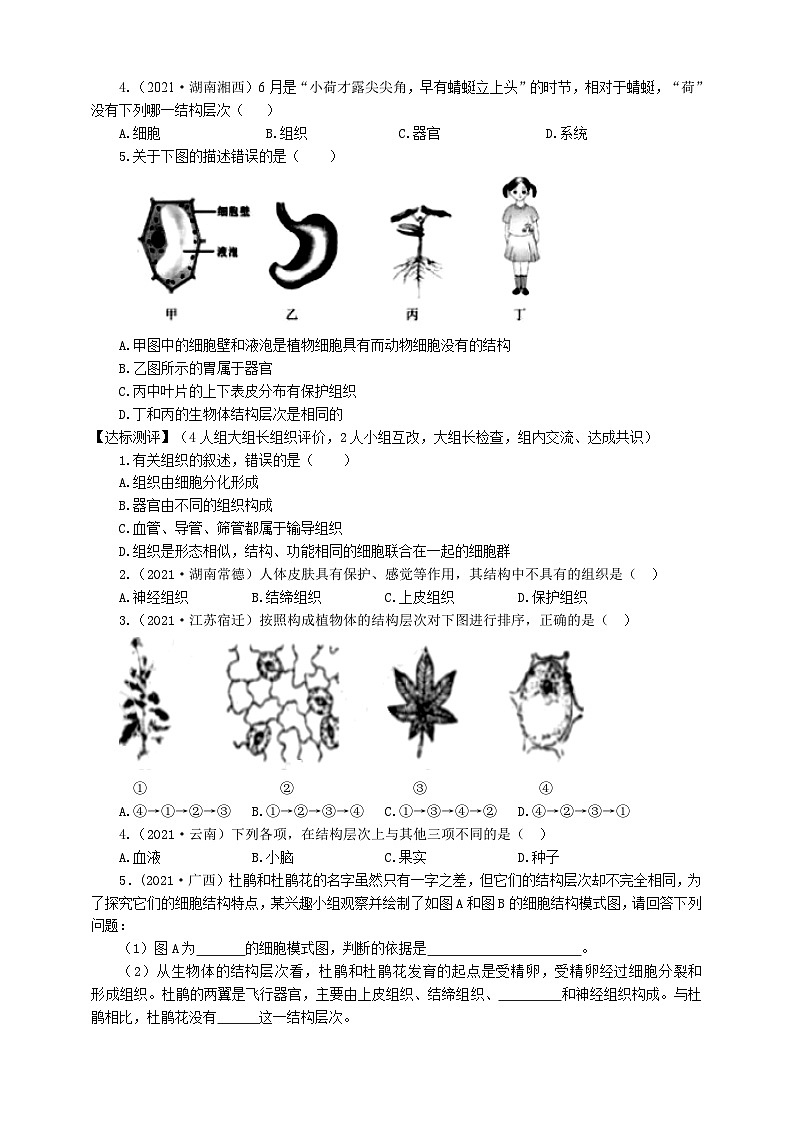 冀少版 初中生物 七年级上册 1.2.3多细胞生物体（学案）第2页