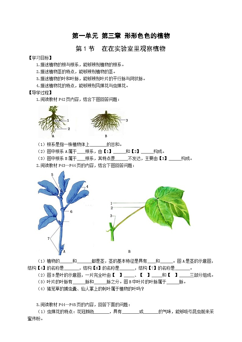 冀少版 初中生物 七年级上册 1.3.1在实验室里观察植物（学案）第1页