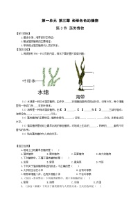 生物第三节  藻类植物优质导学案及答案