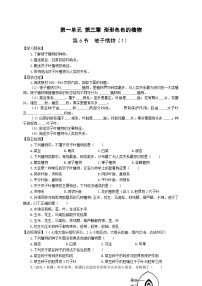 初中生物冀少版七年级上册第六节 被子植物优质导学案及答案