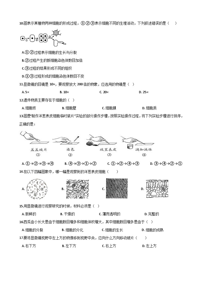鲁科版（五四制）生物六年级上册  第二单元 生物体的结构层次 单元巩固练习题（含解析）02