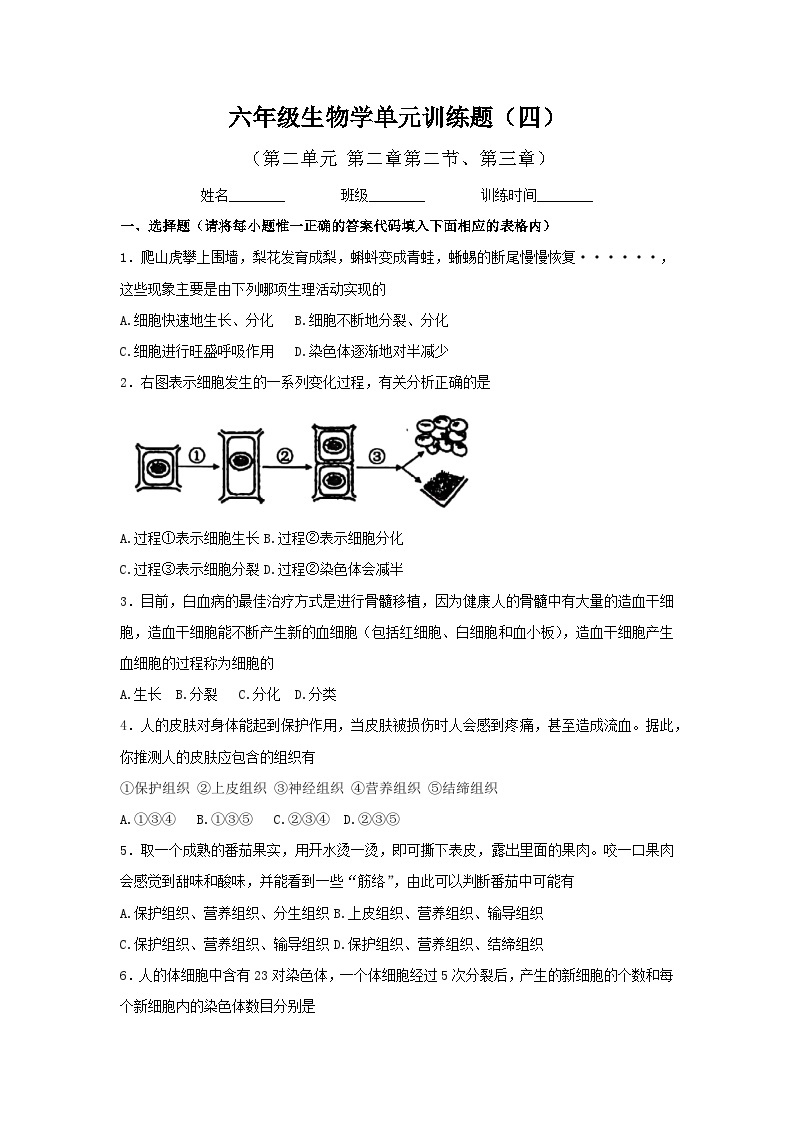 鲁科版（五四制）生物六年级上册  （第二单元第二章第二节、第三章）单元训练题（四）（含答案）01