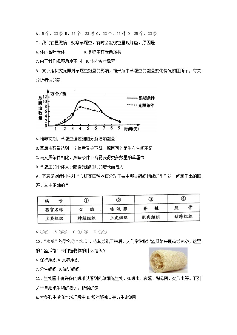 鲁科版（五四制）生物六年级上册  （第二单元第二章第二节、第三章）单元训练题（四）（含答案）02