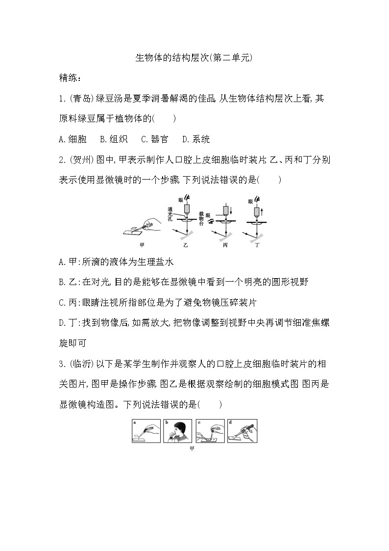 鲁科版（五四制）生物六年级上册 第二单元生物体的结构层次一课一练 （含答案）01