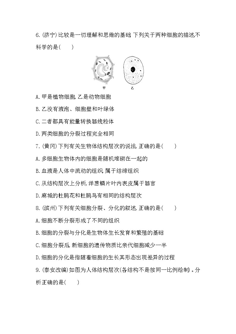 鲁科版（五四制）生物六年级上册 第二单元生物体的结构层次一课一练 （含答案）03