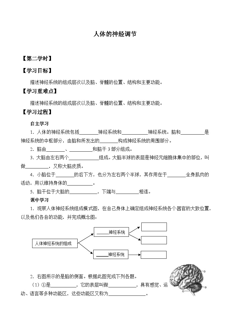 苏科版八年级生物上册：16.1 人体的神经调节  学案2第1页