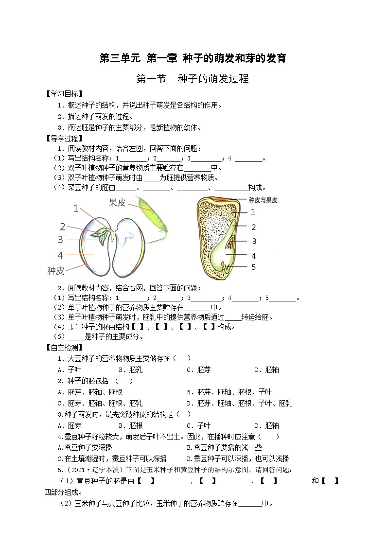 冀少版 初中生物 八年级上册 3.1.1种子的萌发过程 （学案）01