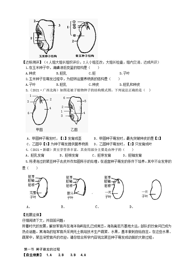 冀少版 初中生物 八年级上册 3.1.1种子的萌发过程 （学案）02
