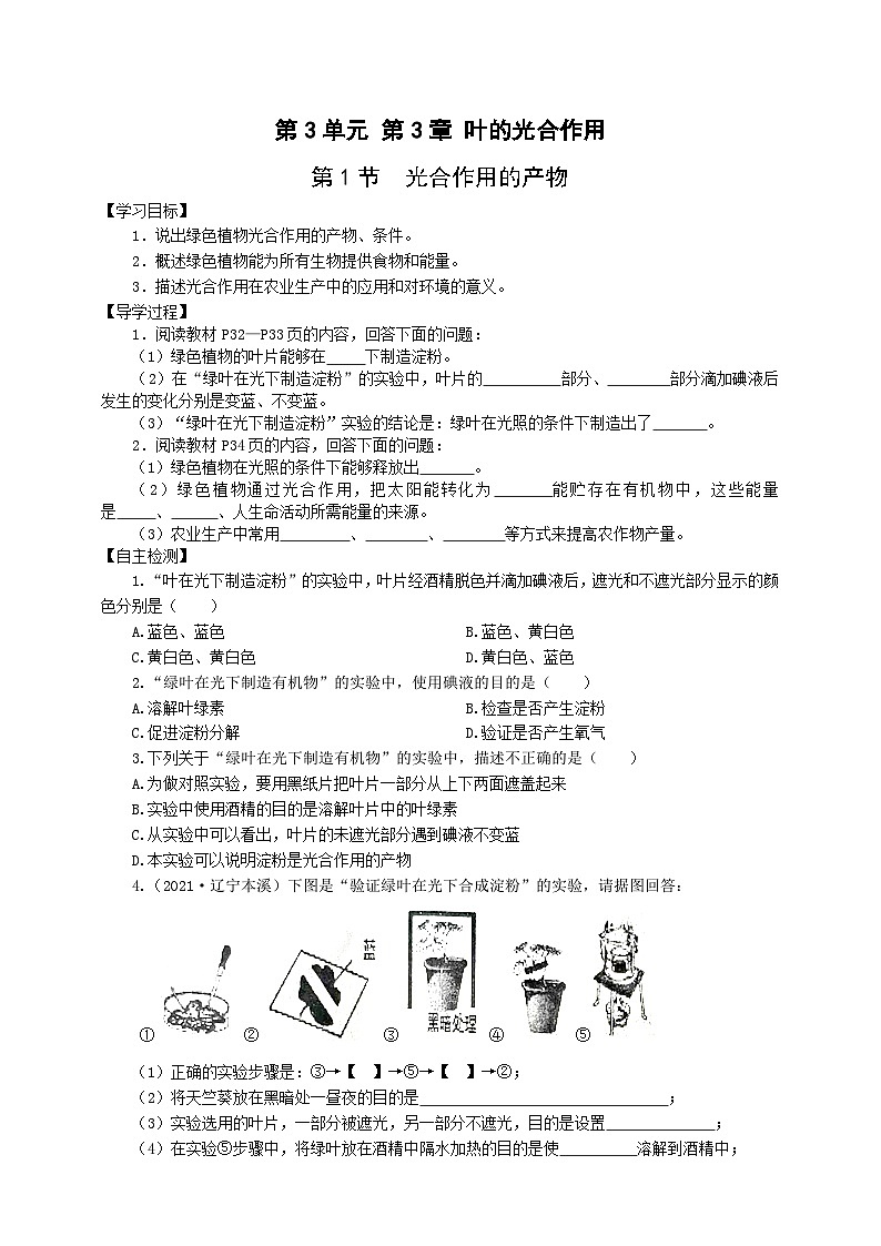 冀少版 初中生物 八年级上册 3.3.1光合作用的产物 （学案）01