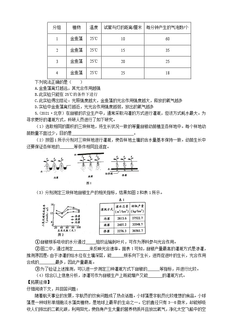 冀少版 初中生物 八年级上册 3.3.1光合作用的产物 （学案）03