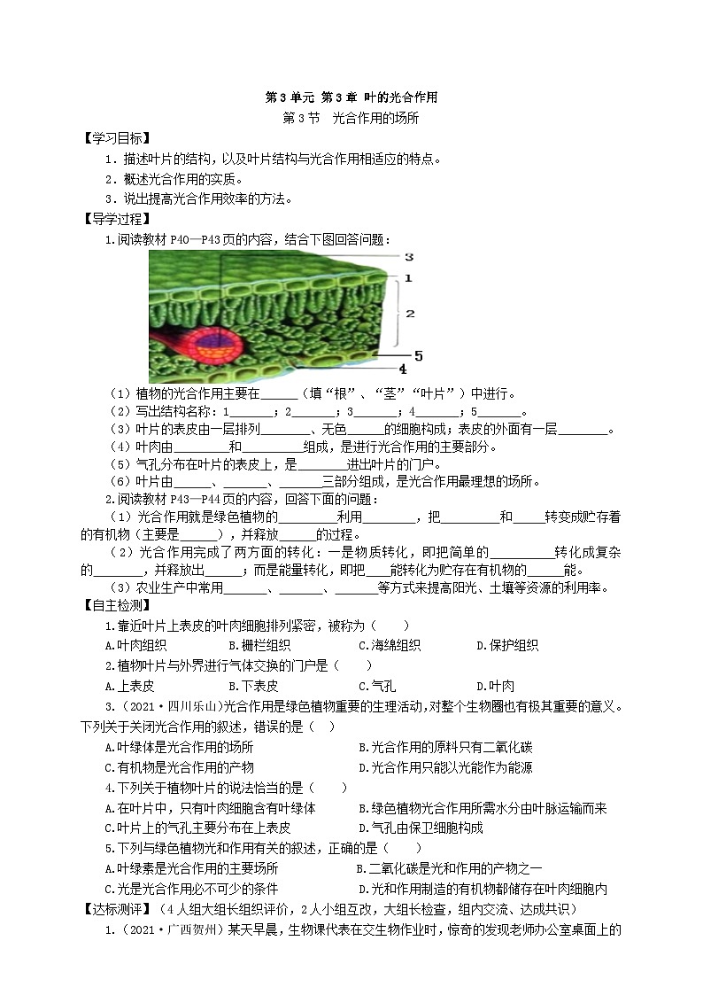 冀少版 初中生物 八年级上册 3.3.3光合作用的场所 （学案）01