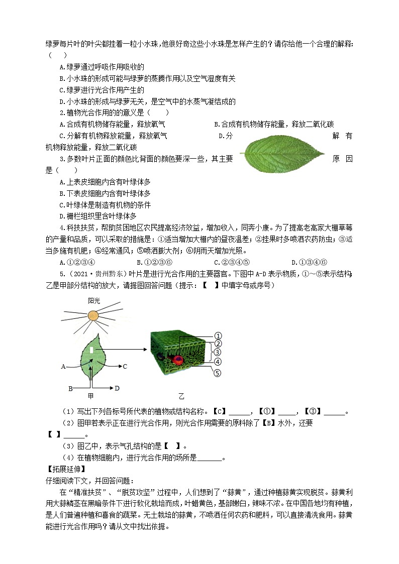冀少版 初中生物 八年级上册 3.3.3光合作用的场所 （学案）02