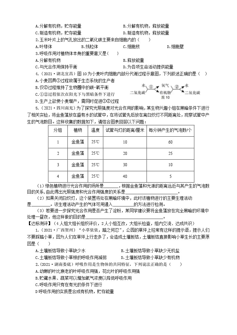冀少版 初中生物 八年级上册 3.4.1呼吸作用 （学案）02